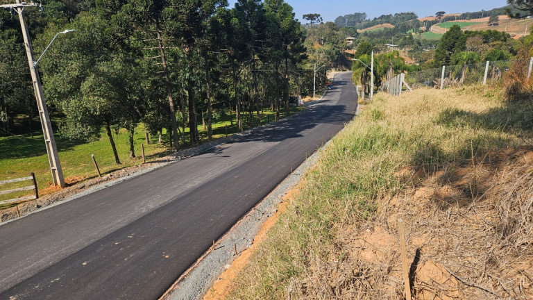 Fazenda à Venda,  em Zona Rural - Araucaria