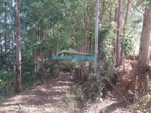 Imagem Imóvel à Venda, 9.000 m² em Zona Rural - Borda Da Mata Imagem Imóvel à Venda, 9.000 m² em Zona Rural - Borda Da Mata