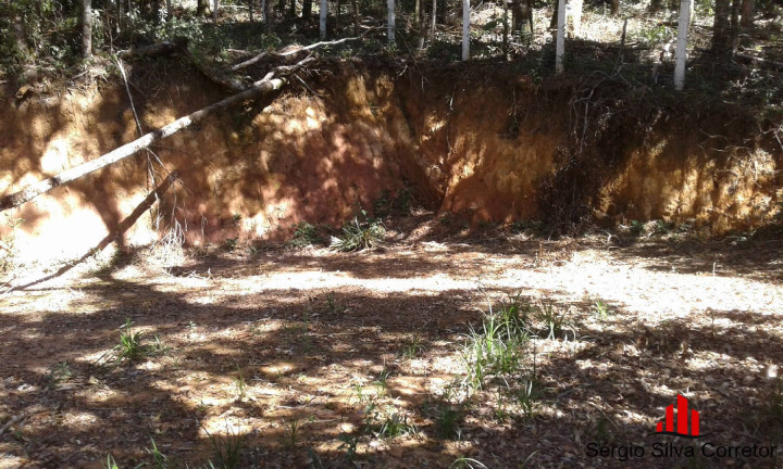 Imagem Terreno à Venda, 1 m² em Alto Do Capivari - Campos Do Jordão Imagem Terreno à Venda, 1 m² em Alto Do Capivari - Campos Do Jordão