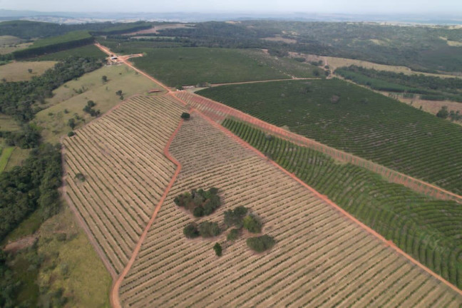 Imagem Fazenda à Venda, 41.140.000 m² em Zona Rural - Angatuba Imagem Fazenda à Venda, 41.140.000 m² em Zona Rural - Angatuba