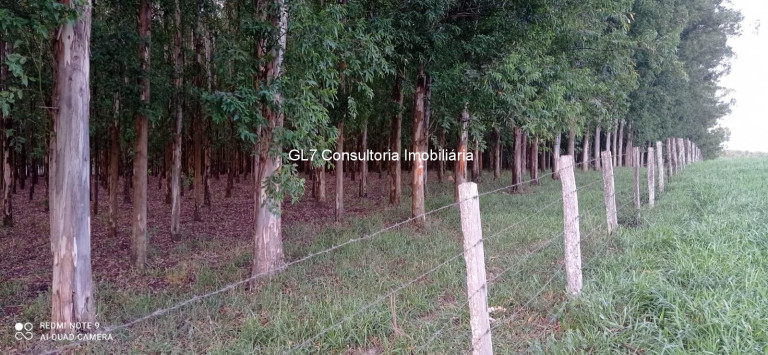 Imagem Terreno à Venda, em Cardeal - Elias Fausto Imagem Terreno à Venda, em Cardeal - Elias Fausto