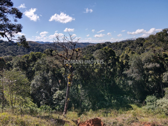 Terreno à Venda, 1.110 m² em Região Do Alto Do Capivari - Campos Do Jordão