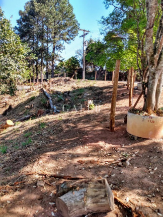 Imagem Terreno à Venda, 575 m² em Atibaia Belvedere - Atibaia Imagem Terreno à Venda, 575 m² em Atibaia Belvedere - Atibaia