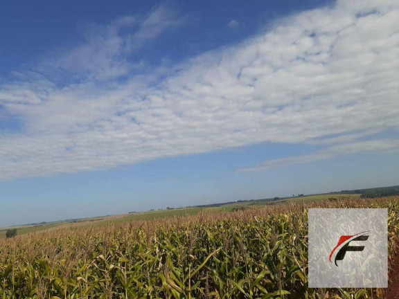 Fazenda à Venda, 2.460.000 m² em Centro - Corbelia