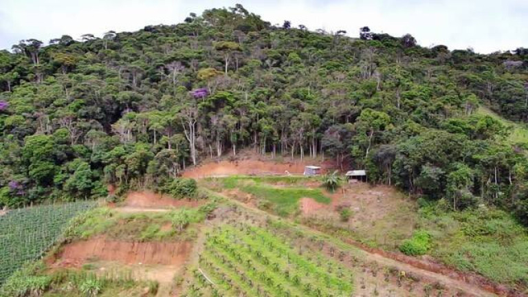 Imagem Chácara com 3 Quartos à Venda, 20 m² em Campo Do Coelho - Nova Friburgo