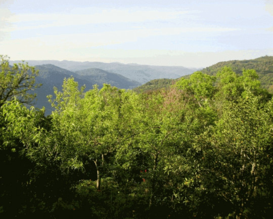Imagem Imóvel com 2 Quartos à Venda, 232 m² em Vila Olinda - Nova Petrópolis Imagem Imóvel com 2 Quartos à Venda, 232 m² em Vila Olinda - Nova Petrópolis