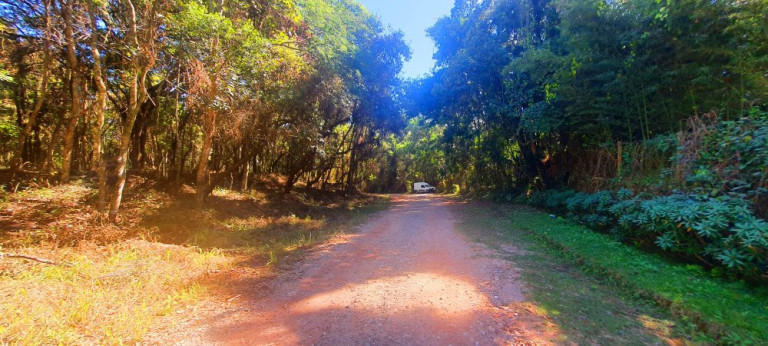 Imagem Imóvel à Venda, 700 m² em Recanto Dos Palmares - Atibaia Imagem Imóvel à Venda, 700 m² em Recanto Dos Palmares - Atibaia