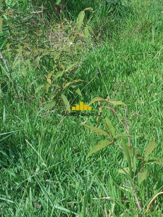 Imagem Chácara à Venda, 5 m² em Bom Retiro - Pilar Do Sul Imagem Chácara à Venda, 5 m² em Bom Retiro - Pilar Do Sul