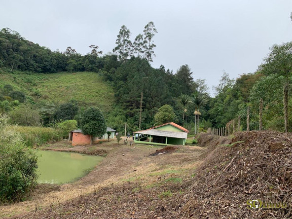 Imagem Chácara com 2 Quartos à Venda, 5.000 m² em Capinzal - Guapiara