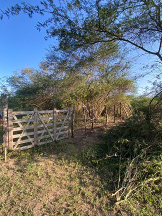 Imagem Fazenda à Venda, 310.000 m² em Br 116 - Euclides Da Cunha Imagem Fazenda à Venda, 310.000 m² em Br 116 - Euclides Da Cunha