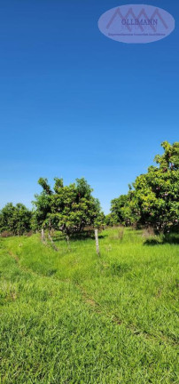 Imagem Terreno à Venda, 76.700 m² em Aparecida D`oeste - Aparecida D`oeste Imagem Terreno à Venda, 76.700 m² em Aparecida D`oeste - Aparecida D`oeste