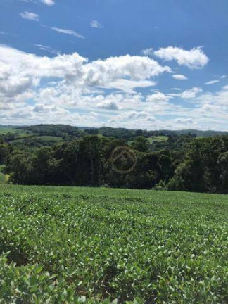 Imagem Terreno à Venda, 193.600 m² em água Amarela - Antônio Olinto Imagem Terreno à Venda, 193.600 m² em água Amarela - Antônio Olinto