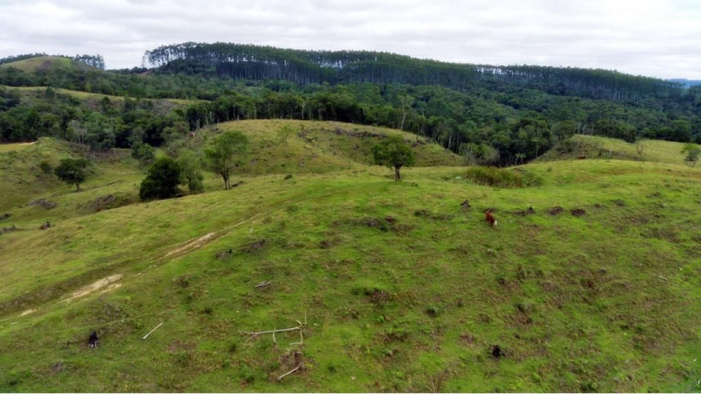Imagem Imóvel com 2 Quartos à Venda, 950.000 m² em Zona Rural - Presidente Nereu