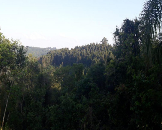 Imagem Imóvel à Venda, em Linha Olinda - Nova Petrópolis Imagem Imóvel à Venda, em Linha Olinda - Nova Petrópolis