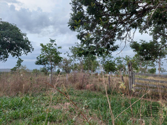Imagem Chácara à Venda, em Santo André Imagem Chácara à Venda, em Santo André