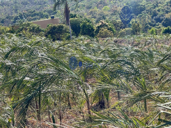 Terreno à Venda, 20 m² em Zona Rural - Corumbá De Goiás