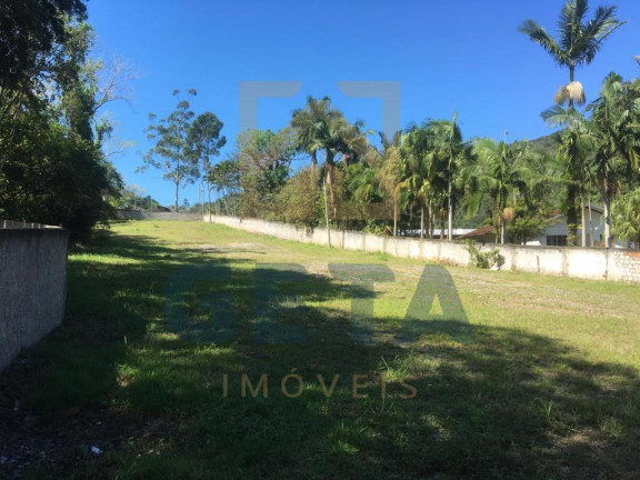 Imagem Terreno à Venda, 3.000 m² em Nova Esperança - Balneário Camboriú Imagem Terreno à Venda, 3.000 m² em Nova Esperança - Balneário Camboriú