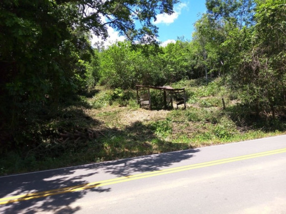Terreno à Venda, 6 m² em Linha Temerária - Nova Petrópolis