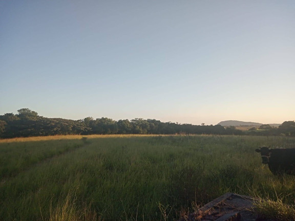 Imagem Chácara à Venda, 47.000 m² em Itapuã - Viamão Imagem Chácara à Venda, 47.000 m² em Itapuã - Viamão