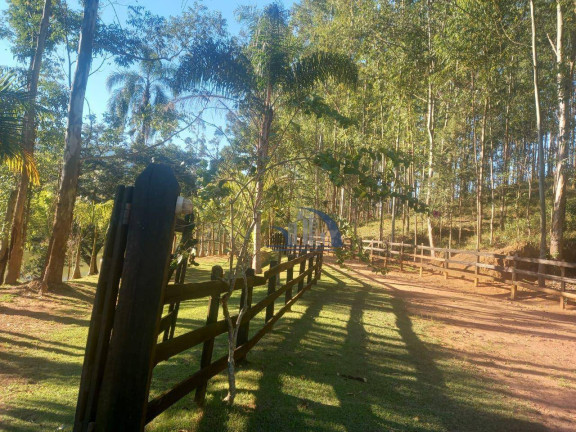 Fazenda à Venda, 338.800 m² em São José Do Mato Dentro. - Ouro Fino