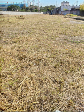 Imagem Terreno para Alugar, 4.404 m² em Jardim Bom Pastor - Santo André Imagem Terreno para Alugar, 4.404 m² em Jardim Bom Pastor - Santo André