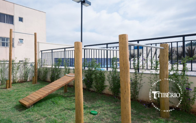Imagem Apartamento com 3 Quartos à Venda, 60 m² em Vila Matilde - São Paulo