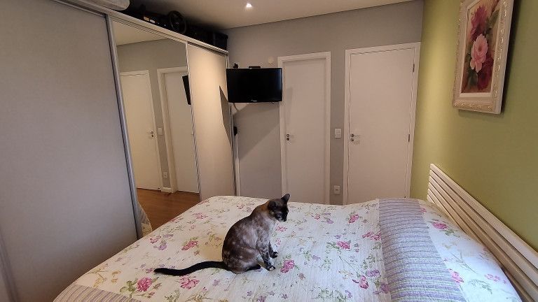 Imagem Apartamento com 2 Quartos à Venda, 74 m² em Planalto - São Bernardo Do Campo Imagem Apartamento com 2 Quartos à Venda, 74 m² em Planalto - São Bernardo Do Campo