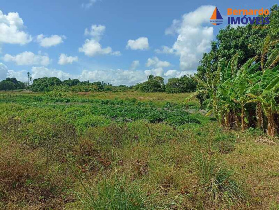 Imagem Chácara à Venda, 145 m² em Coqueiro Do Lagamar - Pindoretama Imagem Chácara à Venda, 145 m² em Coqueiro Do Lagamar - Pindoretama