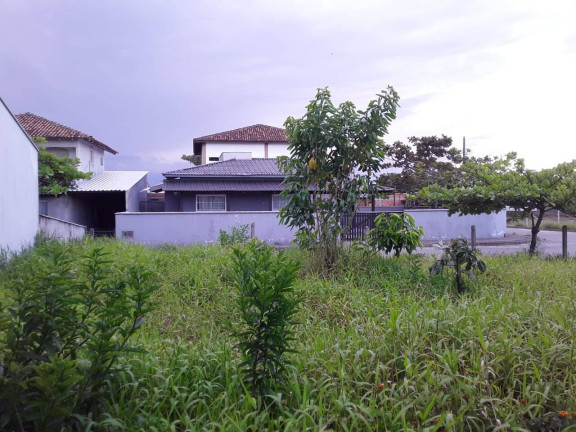 Imagem Terreno à Venda, 300 m² em Ervino - São Francisco Do Sul Imagem Terreno à Venda, 300 m² em Ervino - São Francisco Do Sul