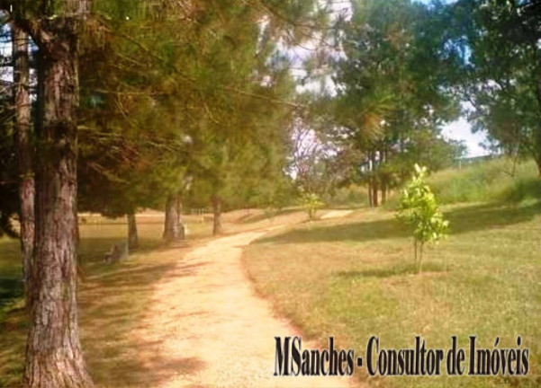 Imagem Terreno em Condomínio à Venda, 1.053 m² em Condomínio Pinheiros Do Lago - Sarapuí Imagem Terreno em Condomínio à Venda, 1.053 m² em Condomínio Pinheiros Do Lago - Sarapuí
