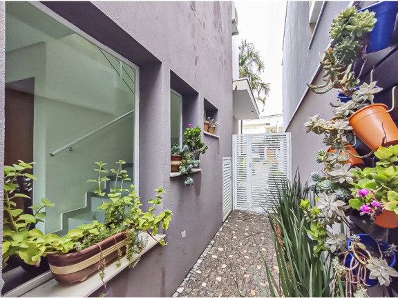Imagem Casa de Condomínio com 3 Quartos à Venda, 251 m² em Condomínio Yucatán - Paulínia Imagem Casa de Condomínio com 3 Quartos à Venda, 251 m² em Condomínio Yucatán - Paulínia