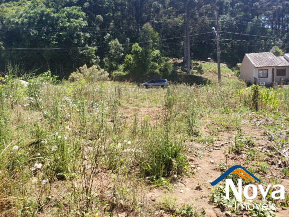 Imagem Imóvel à Venda, 360 m² em Piá - Nova Petrópolis