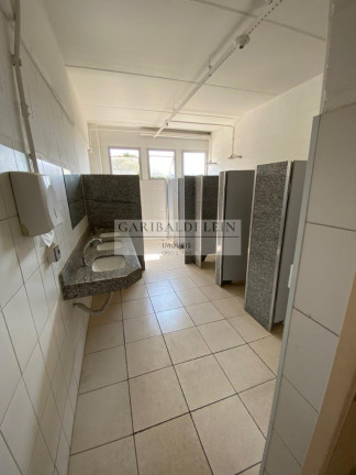 Imagem Imóvel para Alugar, 1.300 m² em Parque Rural Fazenda Santa Cândida - Campinas Imagem Imóvel para Alugar, 1.300 m² em Parque Rural Fazenda Santa Cândida - Campinas