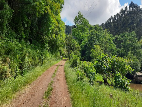 Imagem Terreno à Venda, 2 m² em Linha Olinda - Nova Petrópolis