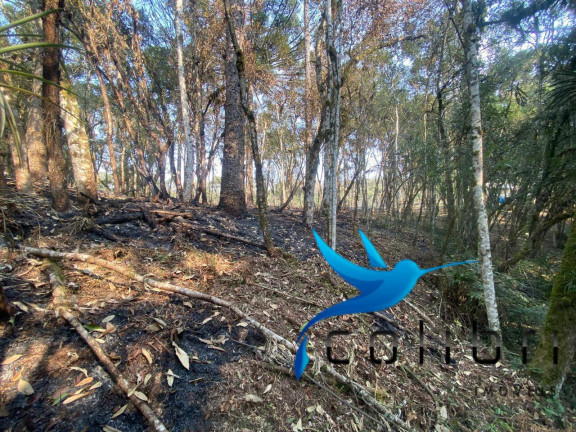 Imagem Terreno à Venda, 2.141 m² em Leão - Agudos Do Sul Imagem Terreno à Venda, 2.141 m² em Leão - Agudos Do Sul
