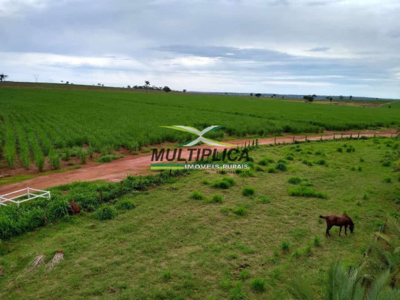 Fazenda à Venda, 217 m² em Suzanápolis