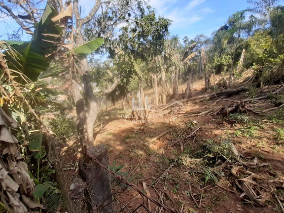Imagem Terreno à Venda, 4.357 m² em Socorro Imagem Terreno à Venda, 4.357 m² em Socorro
