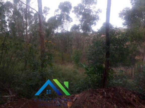 Imagem Chácara com 4 Quartos à Venda, 20.000 m² em Botujuru (botujuru) - Campo Limpo Paulista
