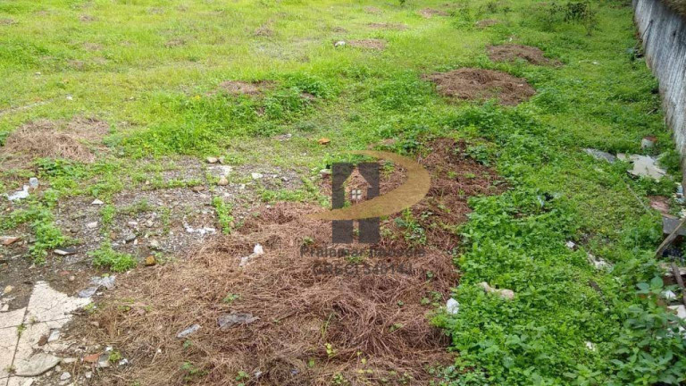 Imagem Terreno à Venda ou Locação, 800 m² em Macuco - Santos Imagem Terreno à Venda ou Locação, 800 m² em Macuco - Santos