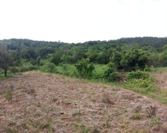 Imagem Terreno à Venda, 30 m² em Linha Bonita - Gramado Imagem Terreno à Venda, 30 m² em Linha Bonita - Gramado