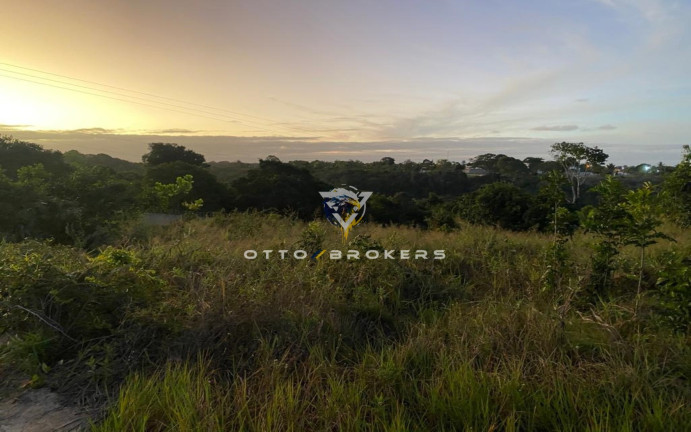 Imagem Terreno à Venda, 300 m² em Coroa Vermelha - Santa Cruz Cabrália Imagem Terreno à Venda, 300 m² em Coroa Vermelha - Santa Cruz Cabrália