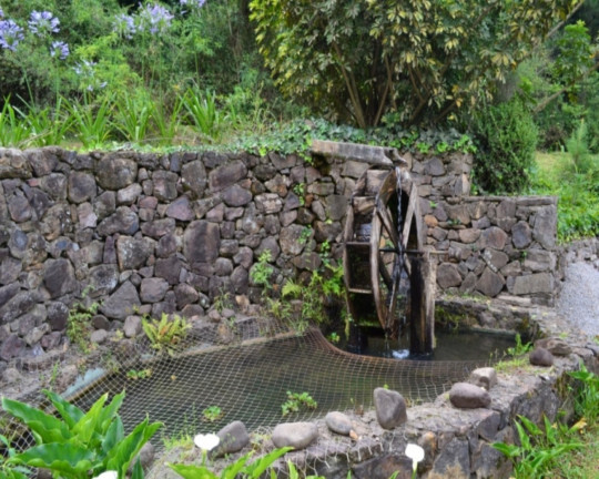 Imagem Imóvel com 3 Quartos à Venda,  em Vale Verde - Nova Petrópolis