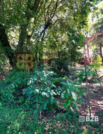 Terreno à Venda, 1.100 m² em Vale Do Igapó - Bauru