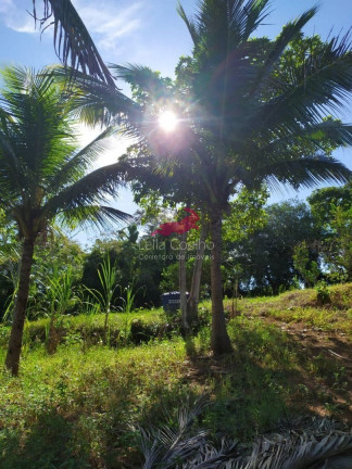 Imagem Chácara com 1 Quarto à Venda, 2.335 m² em São Caetano - Italva