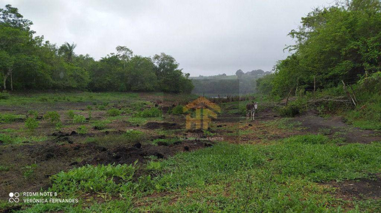 Imagem Fazenda à Venda, 160.000 m² em Rural - Paudalho Imagem Fazenda à Venda, 160.000 m² em Rural - Paudalho