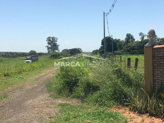 Imagem Fazenda à Venda, 150 m² em Baguaçu - Bilac Imagem Fazenda à Venda, 150 m² em Baguaçu - Bilac