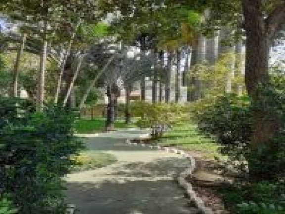 Imagem Apartamento com 3 Quartos à Venda, 278 m² em Centro - São Bernardo Do Campo Imagem Apartamento com 3 Quartos à Venda, 278 m² em Centro - São Bernardo Do Campo