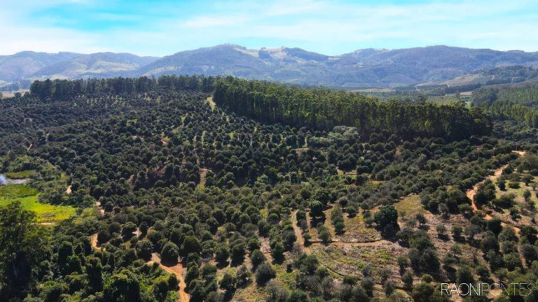 Imagem Fazenda à Venda, 6.220.000 m² em Zona Rural - São Sebastião Da Grama Imagem Fazenda à Venda, 6.220.000 m² em Zona Rural - São Sebastião Da Grama