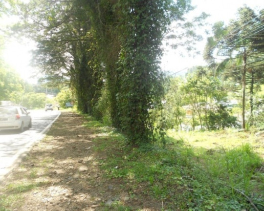Imagem Terreno à Venda, 2.500 m² em Pia - Nova Petrópolis Imagem Terreno à Venda, 2.500 m² em Pia - Nova Petrópolis