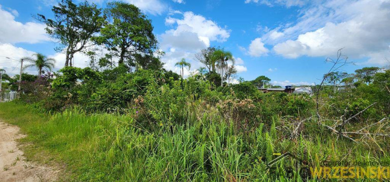 Imagem Terreno à Venda, 442 m² em Praia Do Erwino - São Francisco Do Sul
